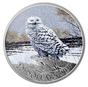 2016 1 oz. Fine Silver Coloured Coin - Snowy Owl