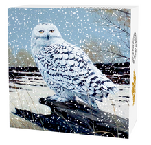 2016 1 oz. Fine Silver Coloured Coin - Snowy Owl