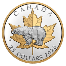 2020 25$ 1 oz. Pure Silver Gold Plated Piedfort – Timeless Icons Polar Bear