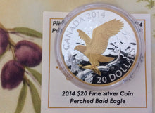2014 Canada 20 Dollars Fine Silver Coin, Perched Bald Eagle